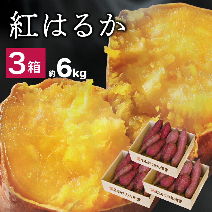 西区平島に サークルk新潟平島店 が間もなくオープン にいがた通信 新潟県新潟市の地域情報サイト