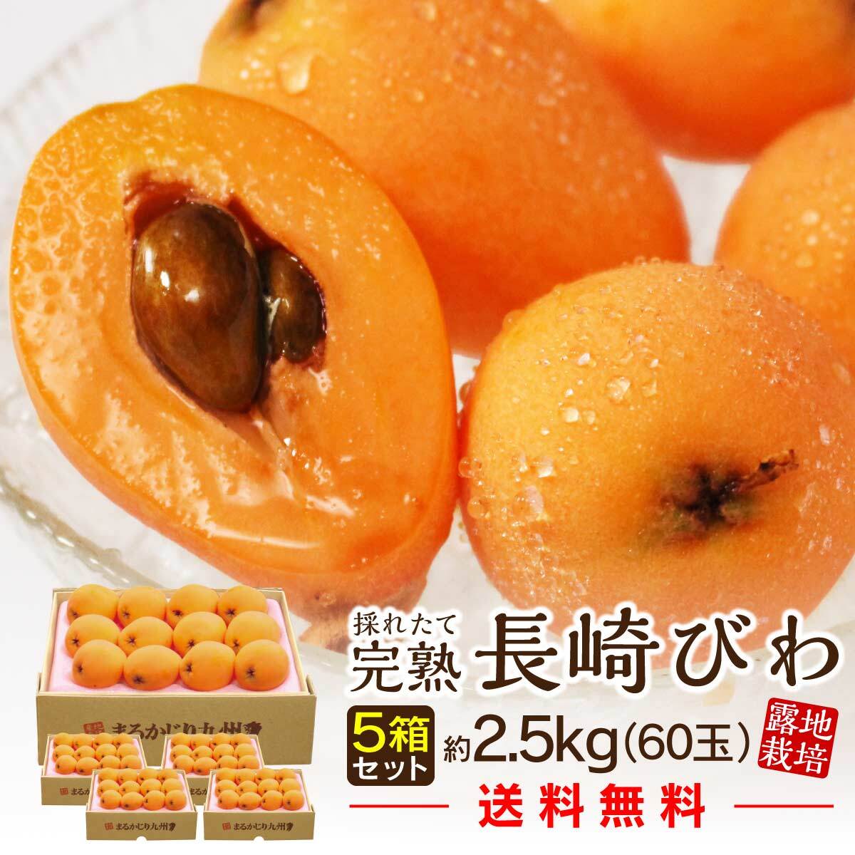 苦痛 天国 場所 びわ 注文 デザート ロデオ 列車 苦痛 天国 場所 びわ 注文 デザート ロデオ 列車