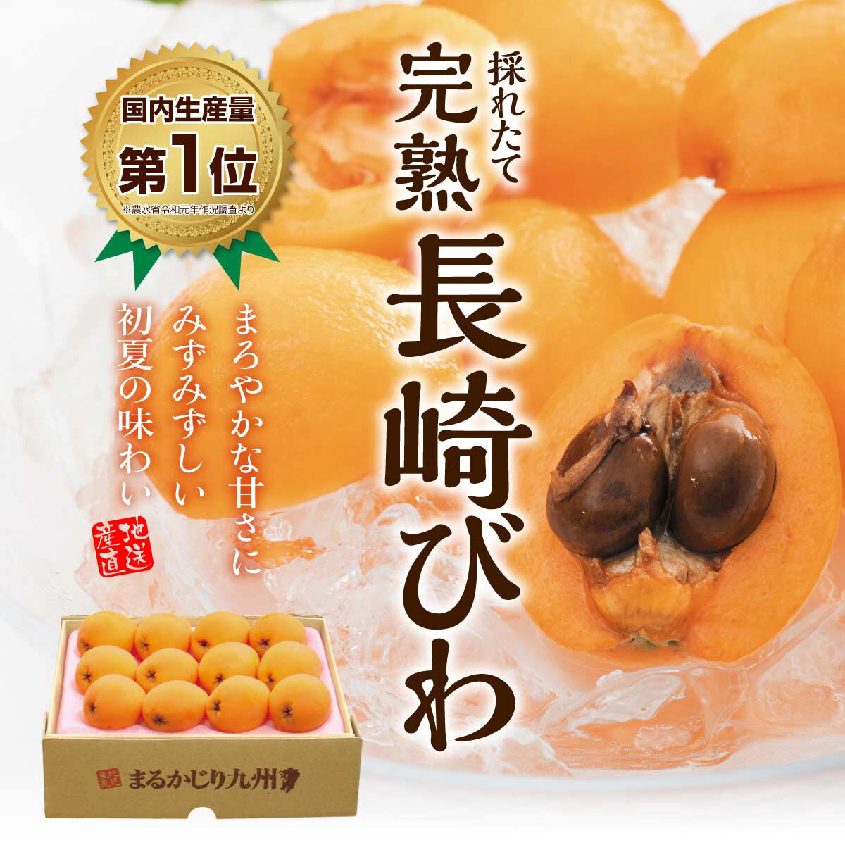 楽天市場 びわ 長崎びわ 4箱 500g Lサイズ12玉 4箱セット送料無料 茂木びわ ビワ 枇杷 産地直送 採れたて完熟 人気 ギフト おすすめ まるかじり九州 まだ間に合う 贈答 プレゼント 果物 フルーツ まるかじり九州