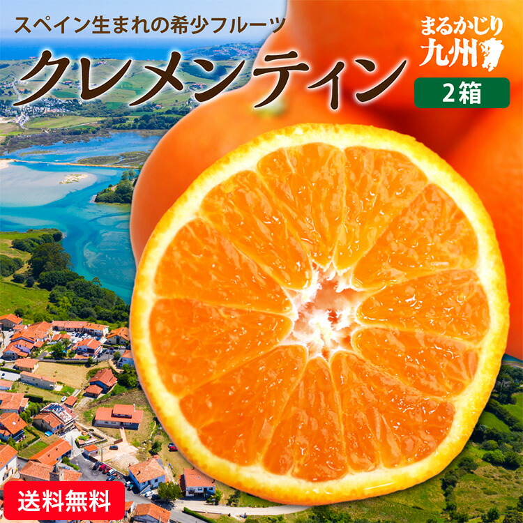 みかん様 はちきんキッス(雨よけみかん）Sサイズ約5kg: とさのさとアグリ