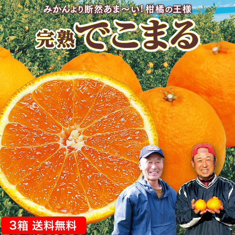 楽天市場】【 送料無料 】 不知火 しらぬい みかん 国産 完熟でこまる