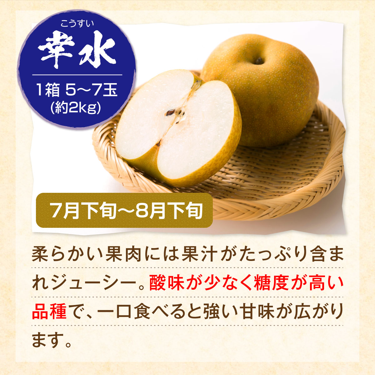 最大91％オフ！ 梨 和梨 あきづき 伊万里 伊万里の甘梨 5箱 約10kg 1箱 約2kg 5〜7玉 佐賀から産地直送 幸水 佐賀 伊万里産  産地直送 甘梨 佐賀県産 プレゼント 贈答 9月中旬以降のお届け fucoa.cl