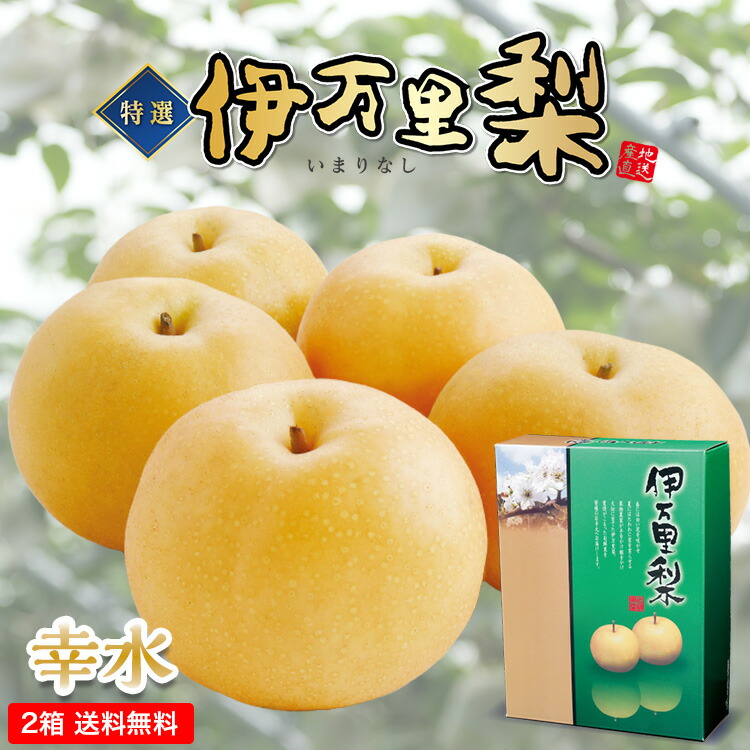 週刊朝日百科 世界の食べもの 1-80と4冊 84冊