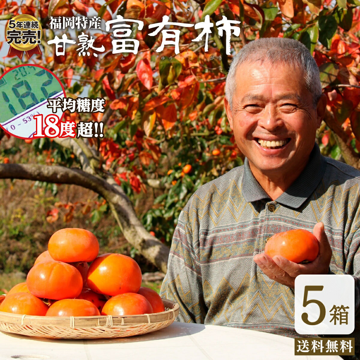 特売SALE開催中‼️昔ながらの〜蜜たっぷりの〜干し柿　柿 箱込み10kg 特売SALE開催中‼️昔ながらの〜蜜たっぷりの〜干し柿 柿 箱込み