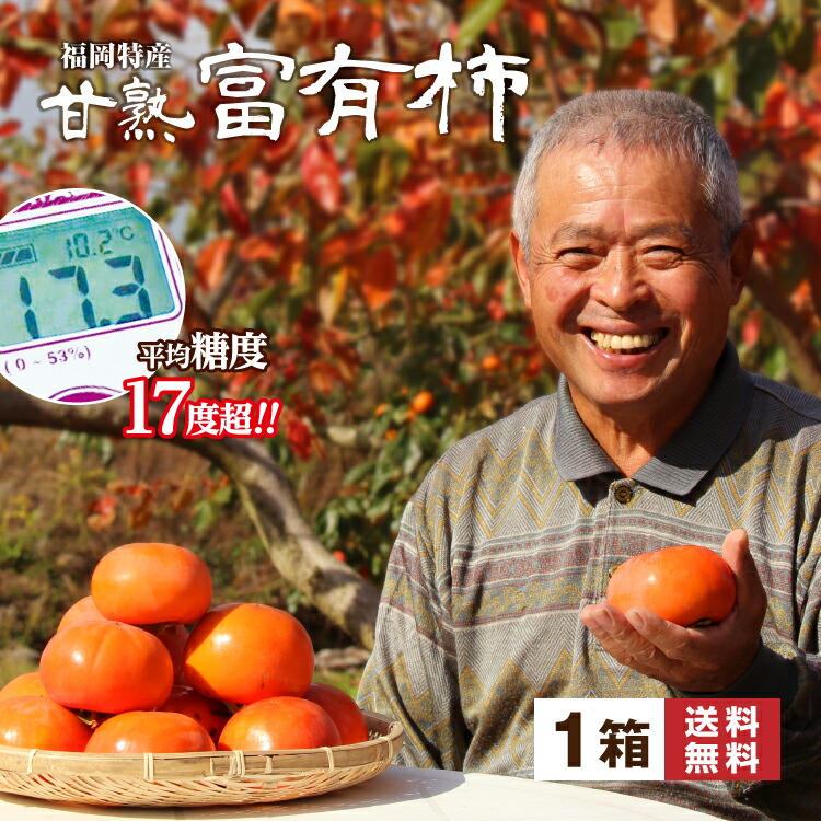楽天市場】送料無料 楽天ランキング1位 富有柿 柿 福岡 農家 直送 2箱