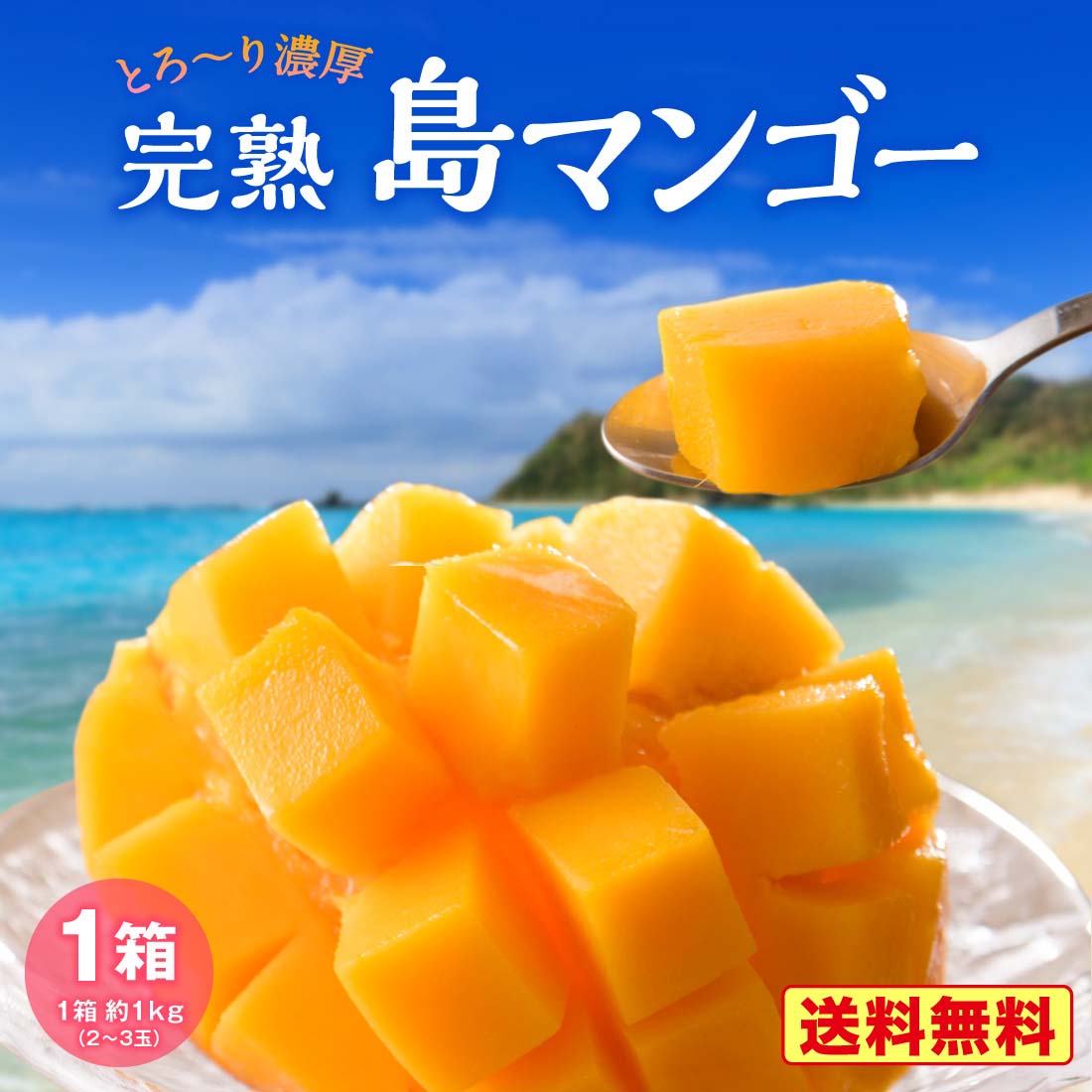 【 送料無料 】マンゴー 鹿児島県産 1箱 約1kg(2玉～3玉)  完熟 島マンゴー アーウィン 九州 鹿児島 奄美大島 奄美 国産 お取り寄せ ご当地 産地直送 ご自宅用 ギフト 贈答 プレゼント 内祝い 果物 南国フルーツ ご予約 クール便 まるかじり九州