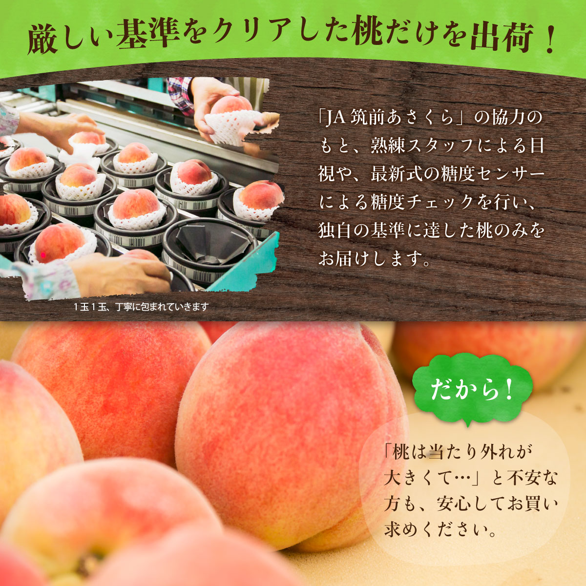 楽天市場 桃 白桃 福岡 あさくらの桃 3箱セット 約4 5kg 1箱 約1 5kg 5 6玉 3箱 送料無料 あかつき 九州 モモ 産地直送 人気 オススメ ギフト フルーツ まるかじり九州