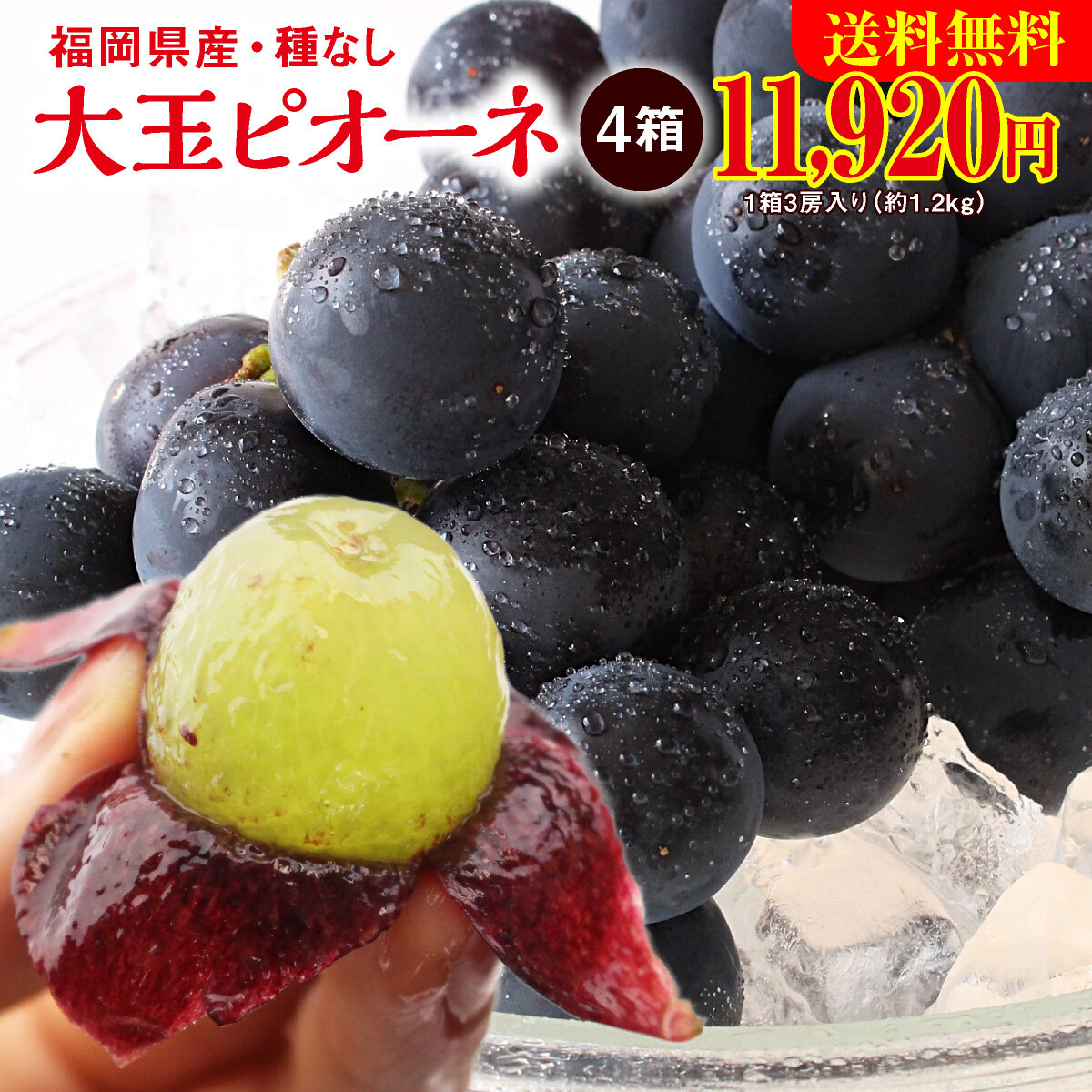ぶどう ピオーネ 福岡 大玉ピオーネ 種なし 4箱 約4 8kg 3房 4箱セット 巨峰とマスカットを掛け合わせた品種 大粒 産地直送 田主丸 旬 ブドウ 葡萄 人気 おすすめ 贈答 フルーツギフト お取り寄せ お買い得 最大15 Offクーポン ぶどう ピオーネ 福岡 大玉ピオーネ 種なし 4箱 約4 8kg 3房 4箱セット 巨峰とマスカットを掛け合わせた品種 大粒 産地直送 田主丸 旬 ブドウ 葡萄 人気 おすすめ 贈答 フルーツギフト お取り寄せ お買い得 最大15 Offクーポン