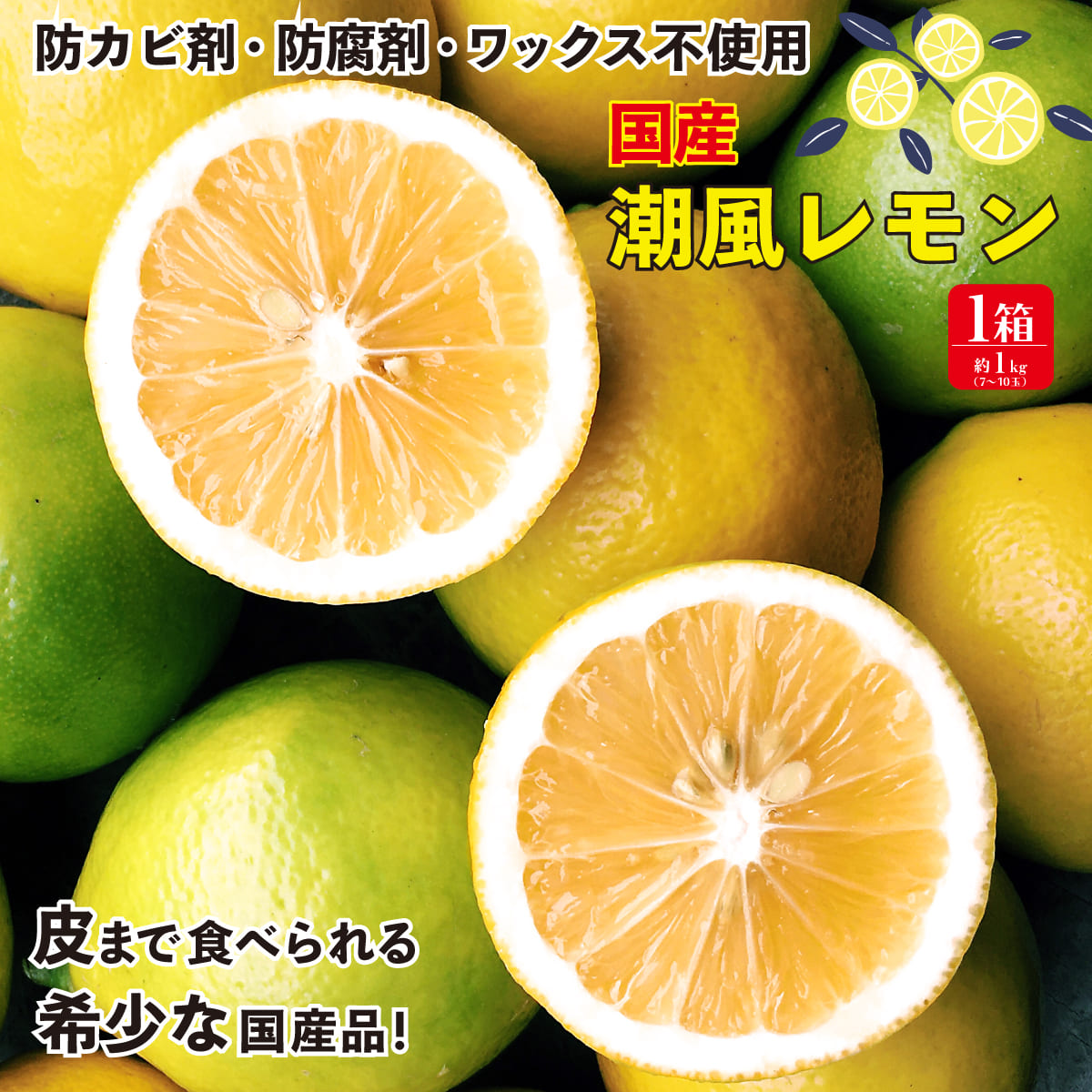 市場 レモン 農薬不使用 国産レモン 約1kg 7 10玉 1箱 潮風レモン 佐賀 数量限定 10月下旬お届け 4箱以上 送料無料