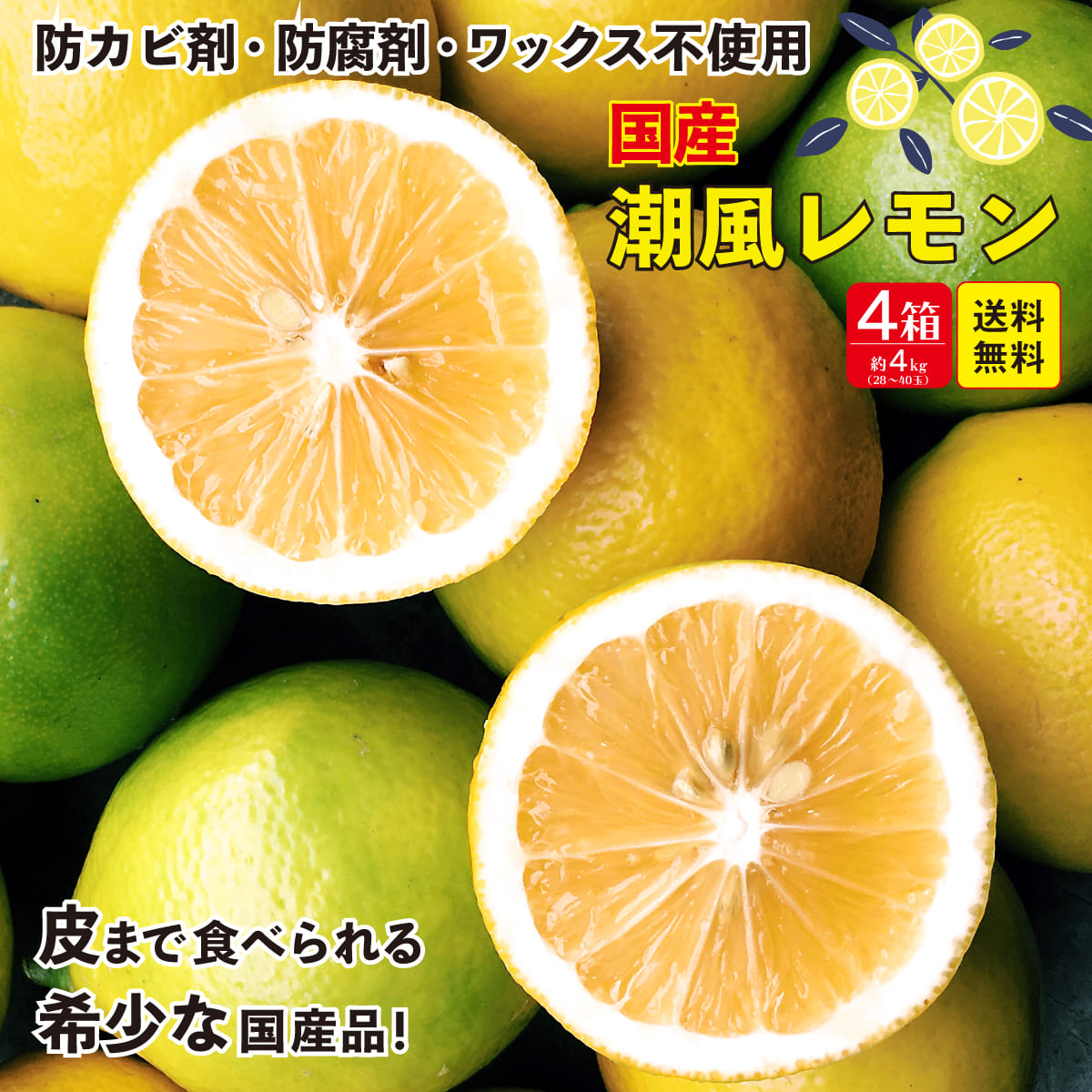 市場 送料無料 農薬不使用 国産レモン 国産有機 マイヤーレモン 佐賀 数量限定 10月下旬お届け レモン