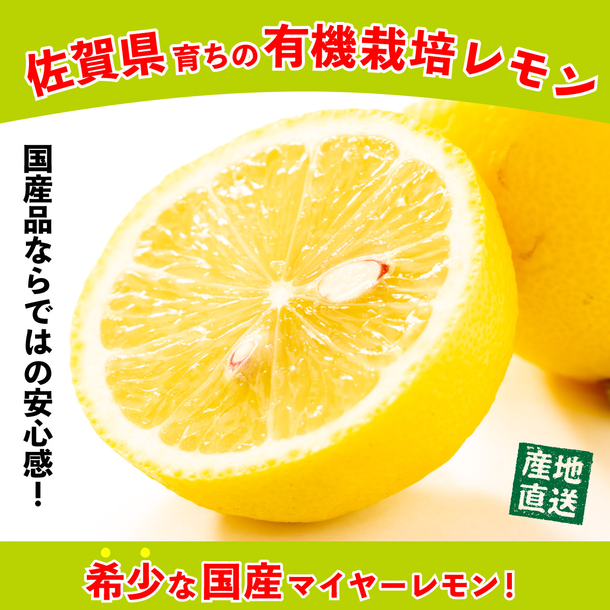 市場 レモン 4箱以上 1箱あたり7〜10玉×2箱 10月下旬お届け 佐賀 数量限定 農薬不使用 2箱 約2Kg 潮風レモン 国産レモン