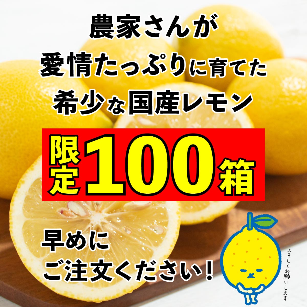 市場 レモン 4箱以上 2箱 農薬不使用 10月下旬お届け 1箱あたり7〜10玉×2箱 約2Kg 潮風レモン 佐賀 数量限定 国産レモン