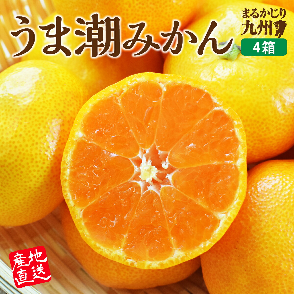 楽天市場】【送料無料】先行予約 熊本 佐賀 温州みかん うま潮みかん 1箱あたり約2.5kg (2S～Lサイズ混合) みかん 産地直送 産直 九州  有明海 早生 中手 晩生 露地栽培 蜜柑 人気 お取り寄せ ご当地 ご当地グルメ 贈答 ギフト フルーツギフト フルーツ 果物 39ショップ ...