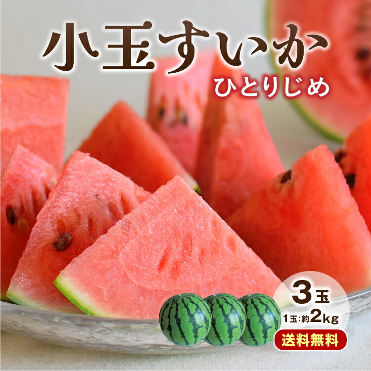 kodamasuika_tmb03.jpg