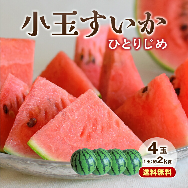 送料無料【 楽天ランキング1位 】 小玉スイカ ひとりじめ 熊本 4玉セット 1玉あたり約2kg 小玉すいか すいか スイカ 西瓜 熊本県産 九州 産地直送 農家直送 お取り寄せ ご当地 果物 フルーツ デザート 甘い ギフト プレゼント 贈答 お中元 お供え まるかじり九州 39ショップ