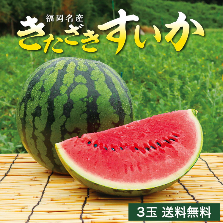 189.お買い得メキシコ産　スイカ　西瓜　4玉 楽天市場】【 送料無料 】 スイカ 福岡 北崎 きたざきすいか 1玉