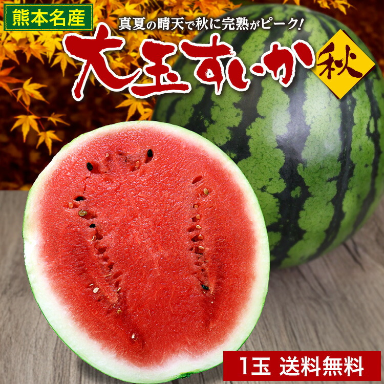 高知県産スイカ大玉、即購入OK ルナピエナすいか販売 通販で高知県土佐香美Luna Piena西瓜のお