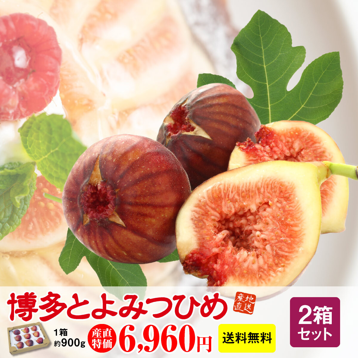 とよみつひめ いちじく 2箱 約900g 2箱セット 送料無料 博多とよみつひめ 完熟 朝採れ 生いちじく 無花果 いちぢく 福岡産 イチジク 青果 産地直送 産直フルーツ 甘い 平均糖度17度 人気 おすすめ 贈り物 Andapt Com