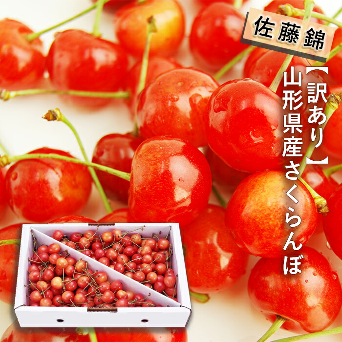 とっておきし福袋 楽天市場】【訳あり】さくらんぼ 【2箱買うと送料無料】山形県産 デュエルマスターズ