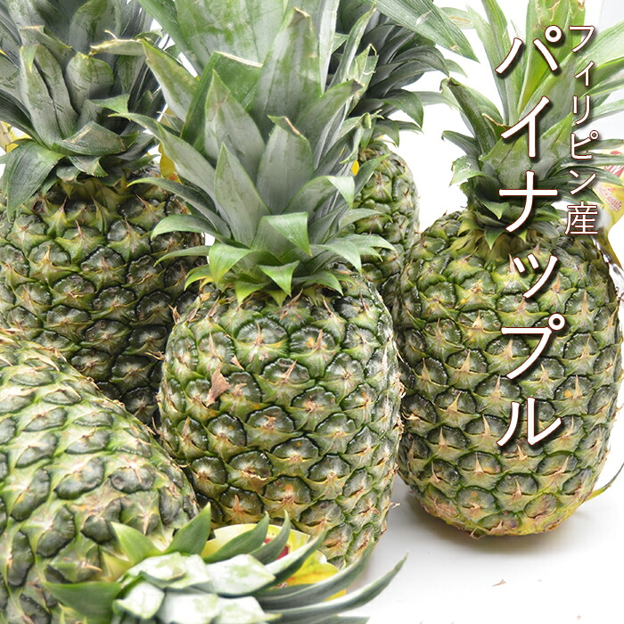 パイナップル 約10kg （ 6～8個 ） フィリピン産