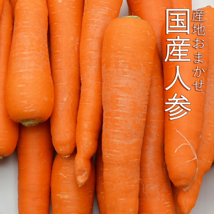 市場 《産地おまかせ》国産人参 約10kg 送料無料 およそ40〜60本入 緑黄色野菜 国産 にんじん