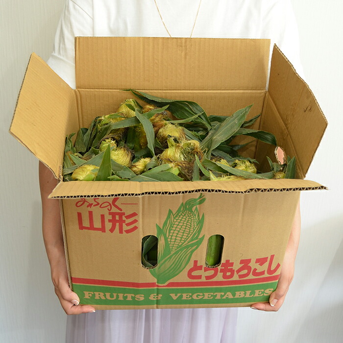 山形県産 とうもろこし
