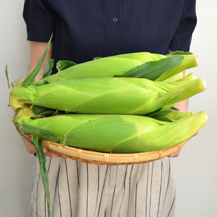 山形県産 とうもろこし