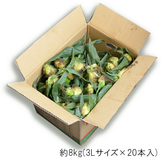 山形県産 とうもろこし