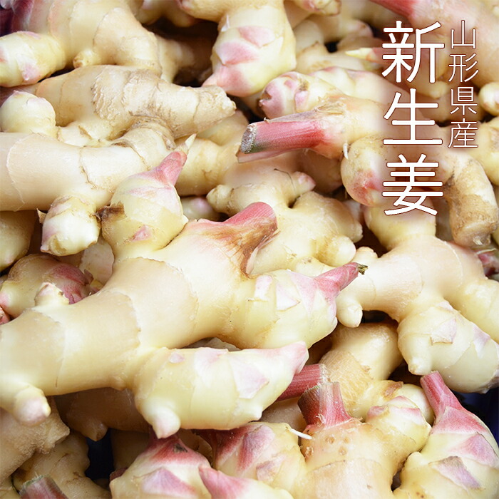 【楽天市場】山形県産 新生姜 ( しんしょうが ) 約4kg:まるっと青果 【楽天市場】山形県産 新生姜 ( しんしょうが ) 約4kg:まるっと青果