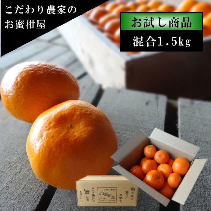 極み熟旨のお蜜柑「熟成味柑」　茶箱　サイズ混合　お試し品　約1．5kg入画像