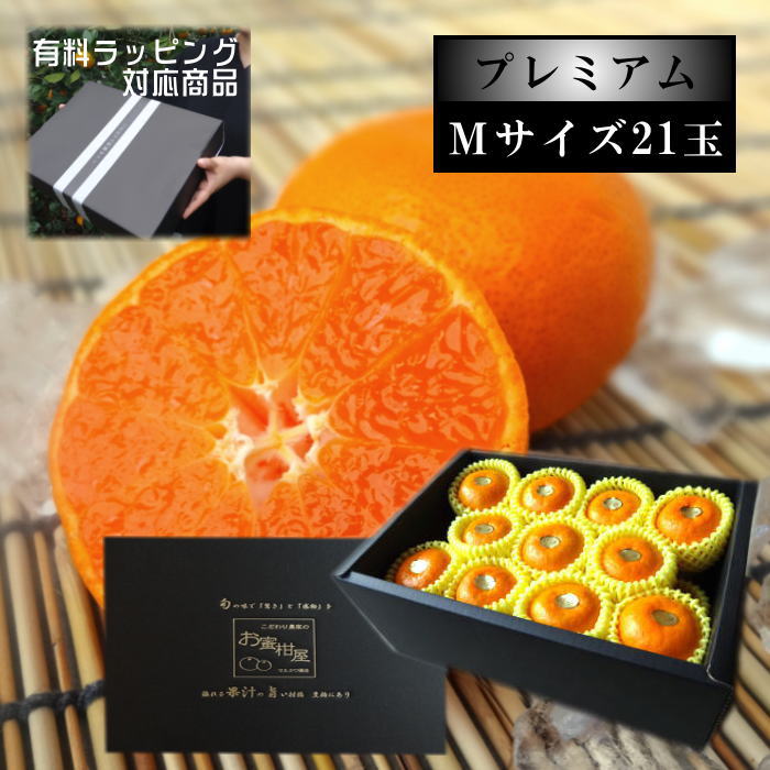 【先行予約/6月下旬～7月上旬発送分】【お中元】極上柑トロのお蜜柑「蜜ツ星プレミアム」　黒の化粧箱（大）　Ｍサイズ　初取り果実２１玉入