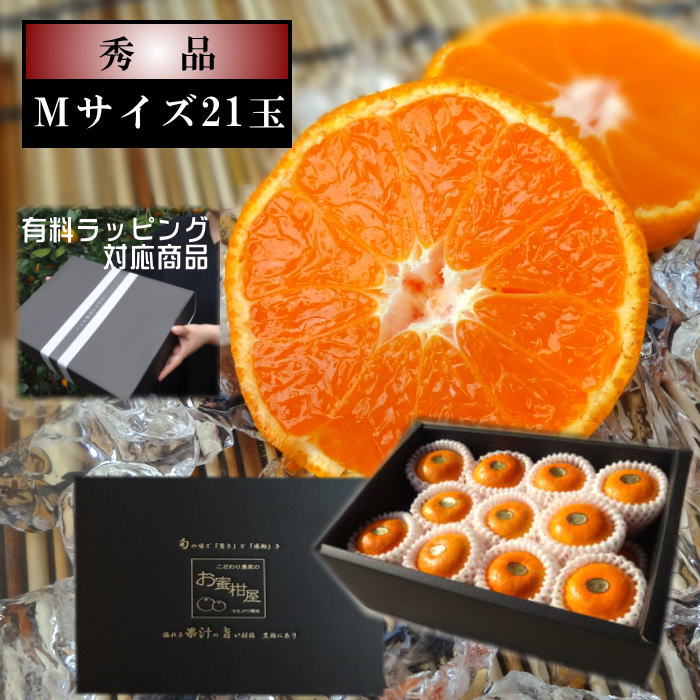 【先行予約/6月下旬～7月上旬発送分】【お中元】濃厚柑トロのお蜜柑「蜜ツ星（みつぼし）」　黒の化粧箱（大）　Ｍサイズ　秀品　２１玉入