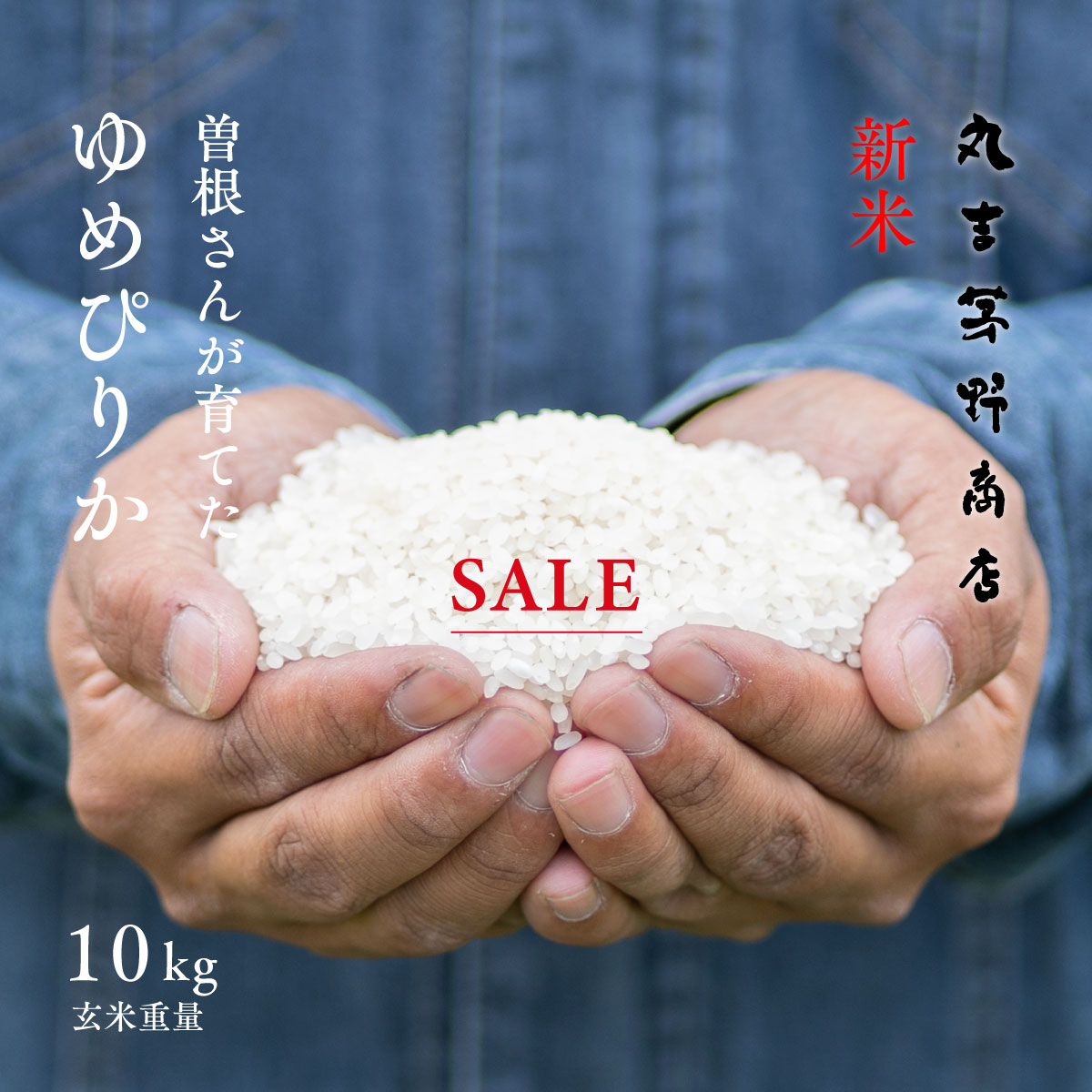 楽天市場】砕米 砕け米 10kg (5kg×2袋) 送料無料 くだけ米 割れ米