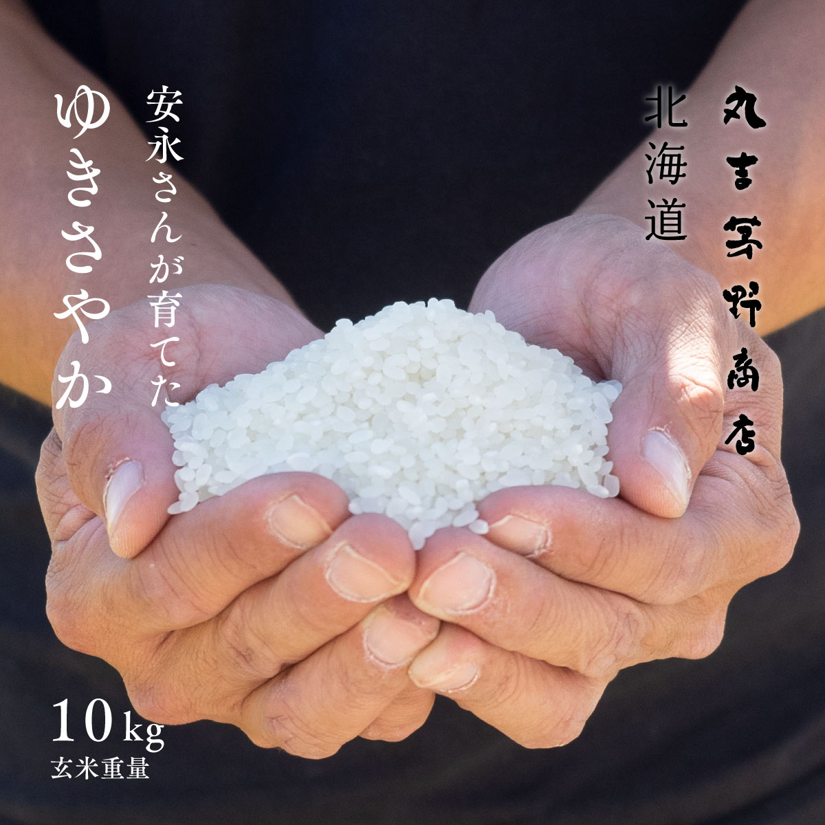 楽天市場】砕米 砕け米 10kg (5kg×2袋) 送料無料 くだけ米 割れ