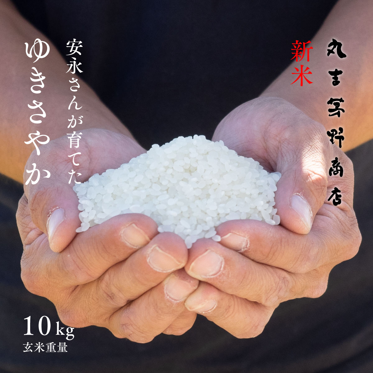 楽天市場】砕米 砕け米 10kg (5kg×2袋) 送料無料 くだけ米 割れ