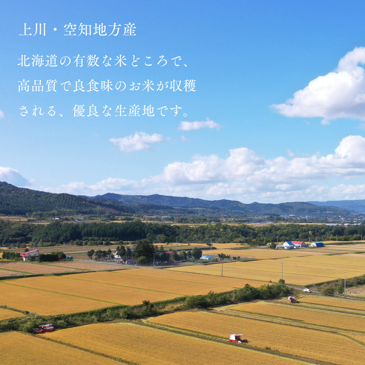上川・空知地方で収穫したお米