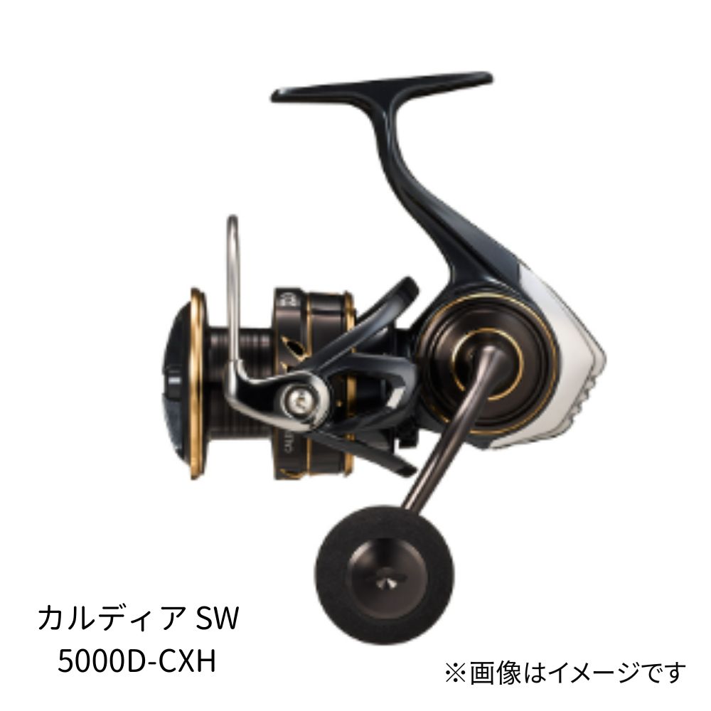 ダイワ　22CALDIA SW 5000D-CXH