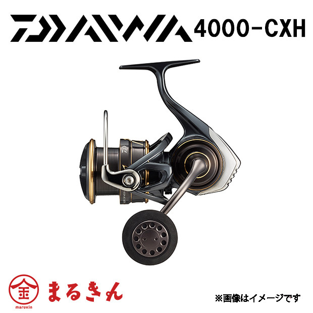 22カルディア SW 4000-CXH ジギング 葉物