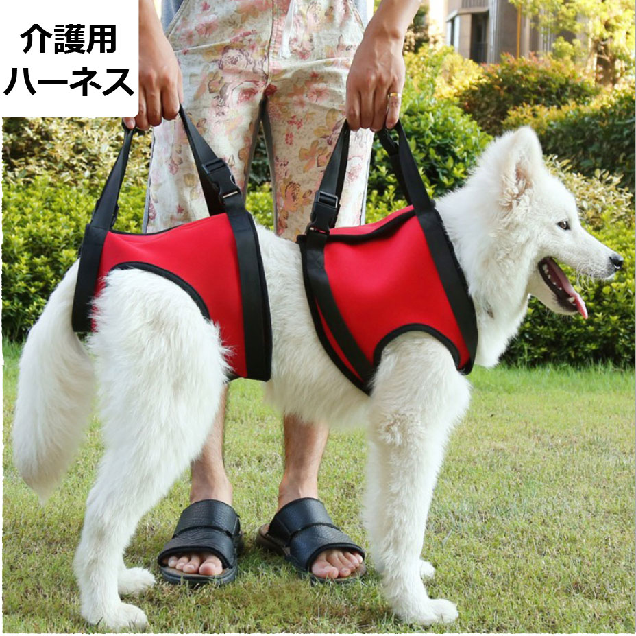 未使用 ララウォーク 犬 ハーネス 介護 胴輪 大型犬用 Mサイズ ～30kg 未使用 ララウォーク 犬 ハーネス 介護 胴輪 大型犬用 Mサイズ