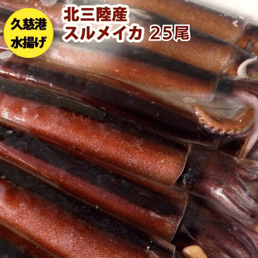 送料無料 鮮度超抜群 スルメイカ冷凍25尾入り(約4.5kg～約5.5kg)【するめいか】急速冷凍釣りイカを氷ごと急速冷凍です。