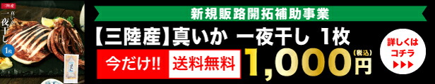 楽天市場】南部せんべいこわれメガ盛り2.2ｋｇ 【送料無料】【訳あり こわれ煎餅】 : うまさ直送マルコシ商店