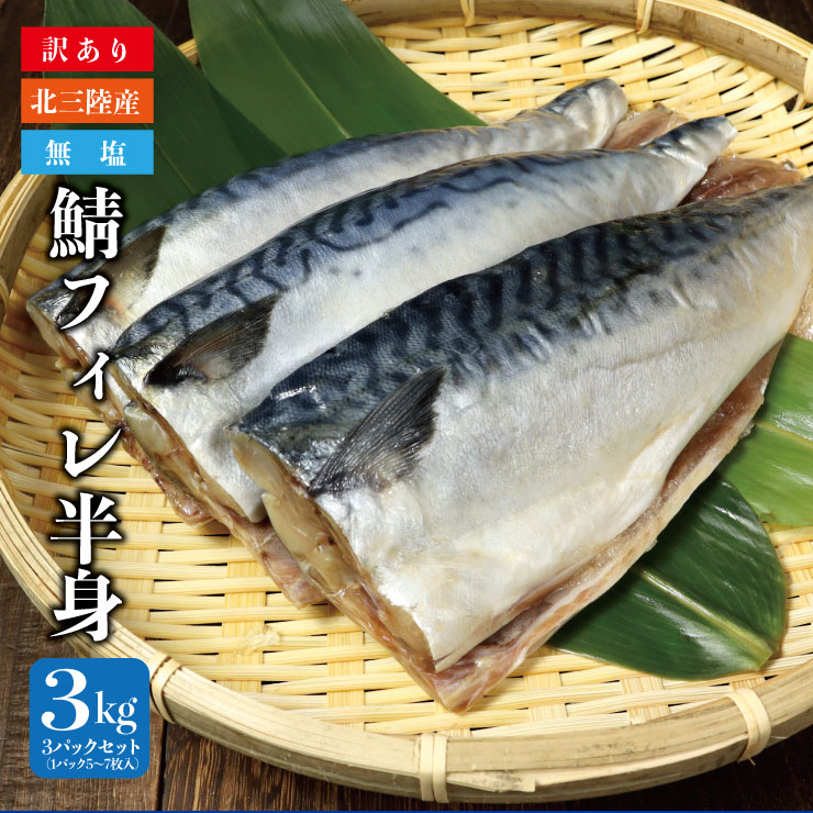 送料無料 【訳あり】岩手県北三陸産 無塩 鯖フィレ半身3kg 1kg×3パックセット（1パック5～7枚入り）  【鯖/さば】【サバ】【冷凍配送】【不揃い】
