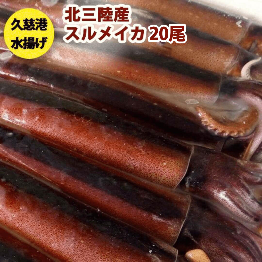 送料無料 鮮度超抜群 スルメイカ冷凍20尾入り(約4.5kg～約5.5kg)【するめいか】急速冷凍釣りイカを氷ごと急速冷凍で、イカは２0尾くっついています。