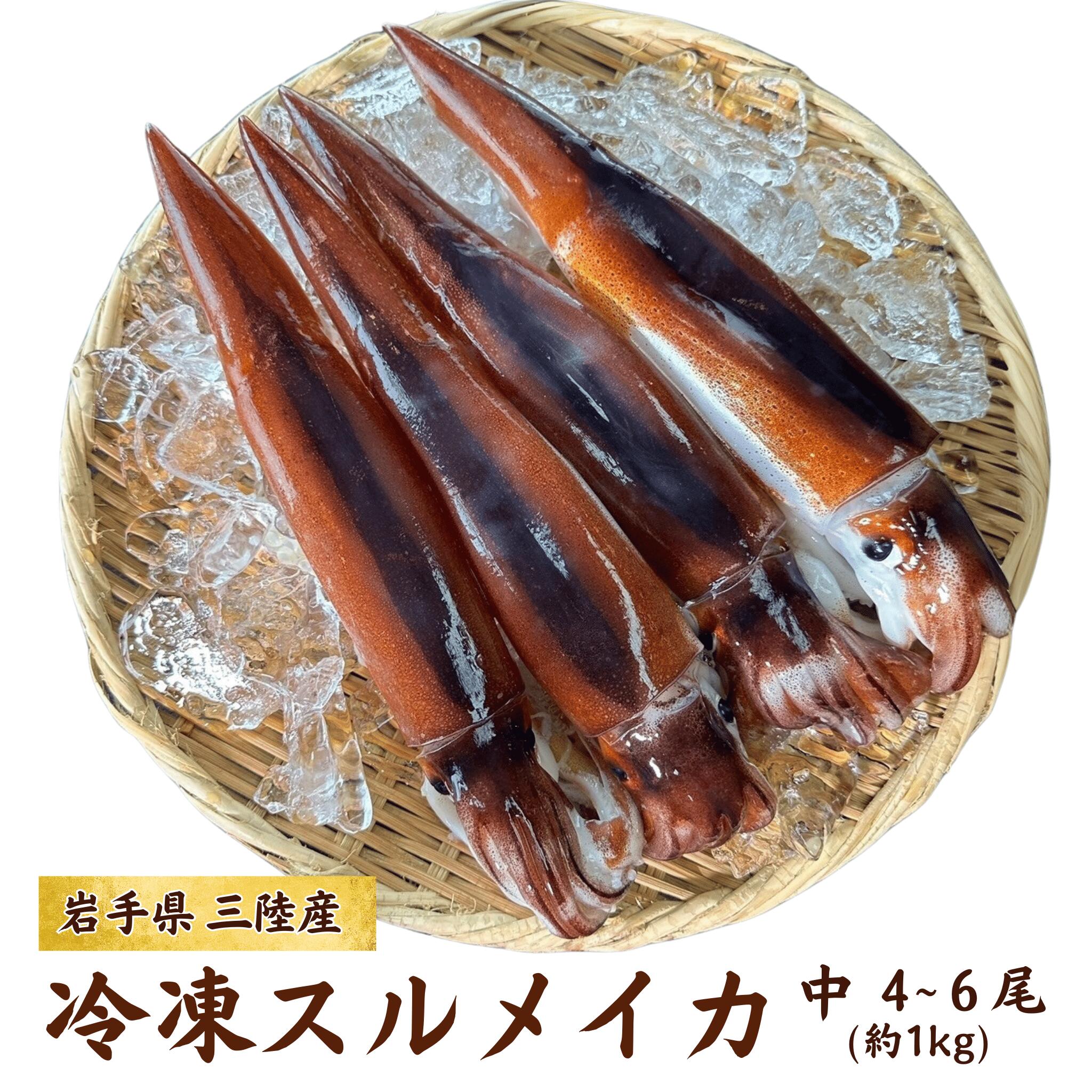 楽天市場】送料無料 鮮度超抜群 スルメイカ冷凍25尾入り(約4.5kg～約