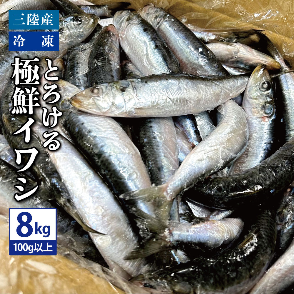 送料無料 三陸産 冷凍 とろける極鮮イワシ 8kg（1匹あたり100g以上） いわし 鰯