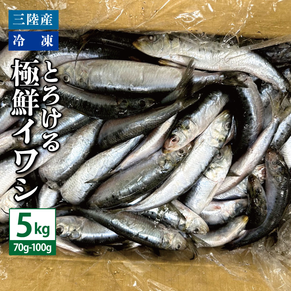 楽天市場】【特別5%OFFクーポン！3/1-3/11】ナチュラルシー 大とろ金華