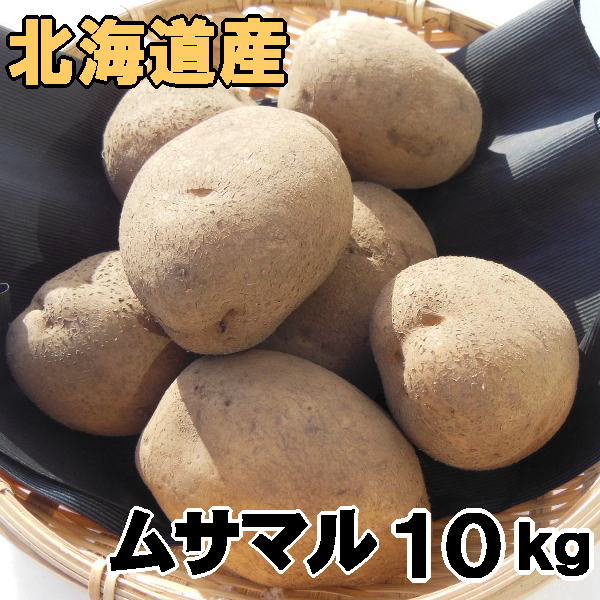 陸送 船舶輸送 車船輸送 でかかる時間 ゆうパック航空輸送禁止