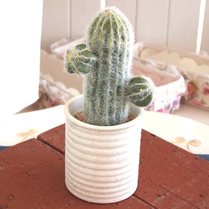 楽天市場 光触媒フェイクグリーン Trca 01 ポンポンサボテン 定形外可400円 しれとこ本舗