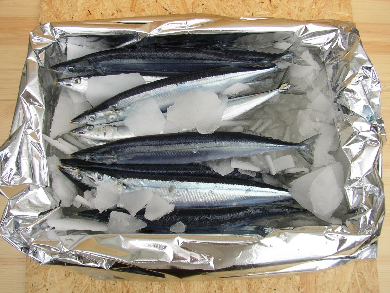 売り切れ必至 生サンマ 北海道 根室産 約2kg 14尾入 冷蔵 今が走りの秋の味覚 生のサンマを北海道から直送 当店限定 Lifestyle Expert