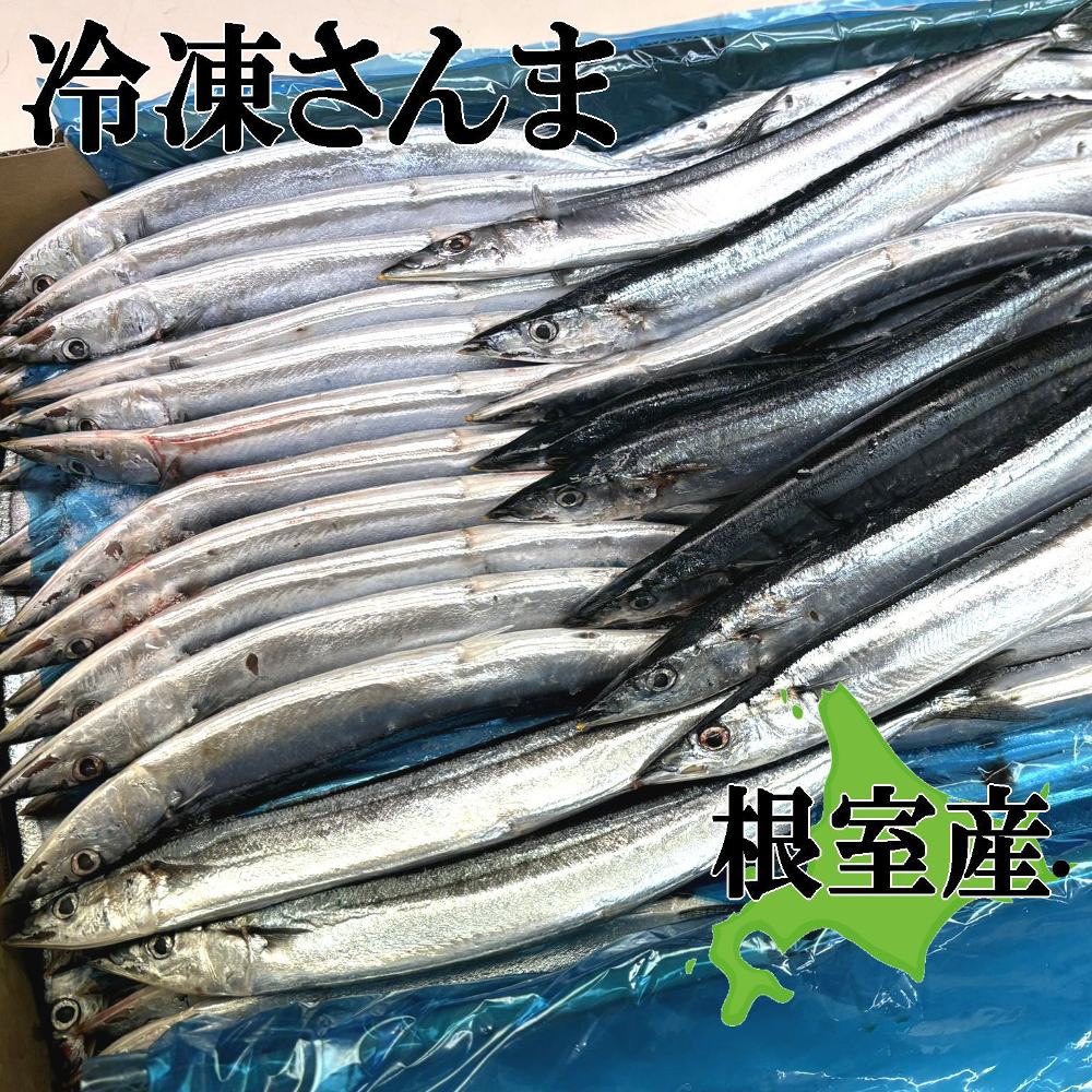 送料無料！北海道根室産 冷凍サンマ10kg 90-100匹前後入り！